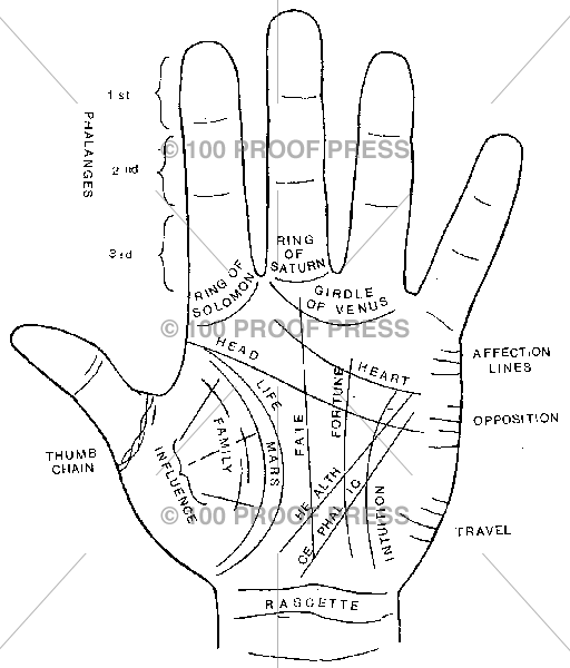 1324 Palmistry Hand, Lines