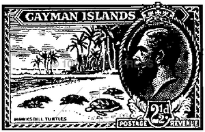 3236 Cayman Island Stamp
