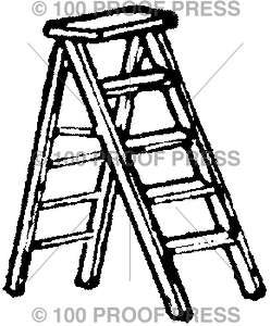 355 Step Ladder
