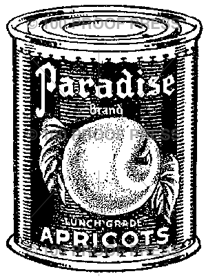3742 Paradise Apricots