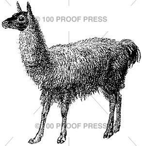 3964 Llama