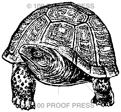3998 Tortoise