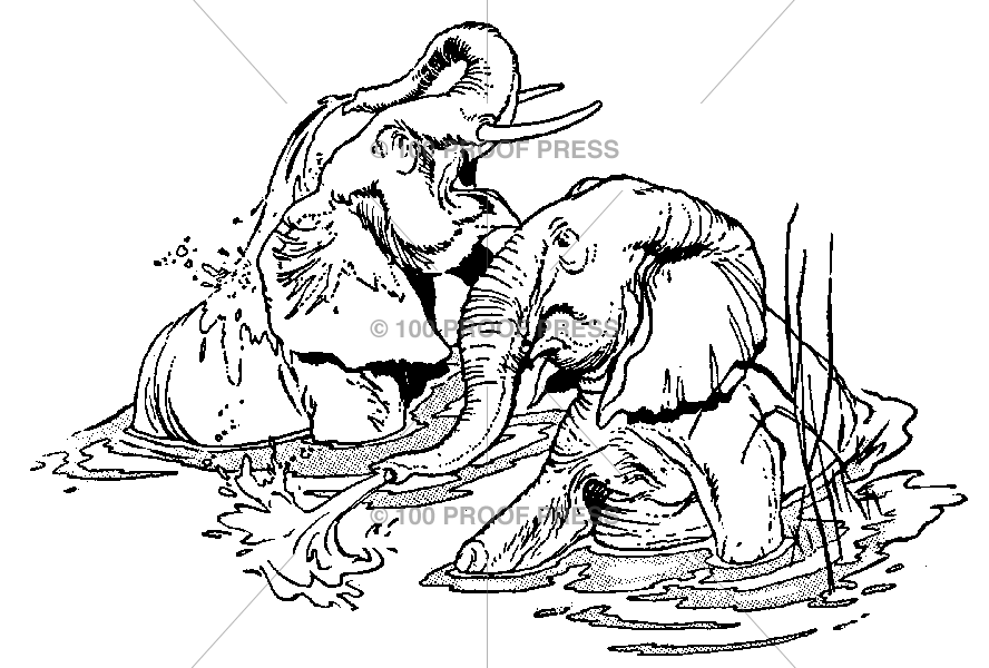 4370 Elephants Bathing