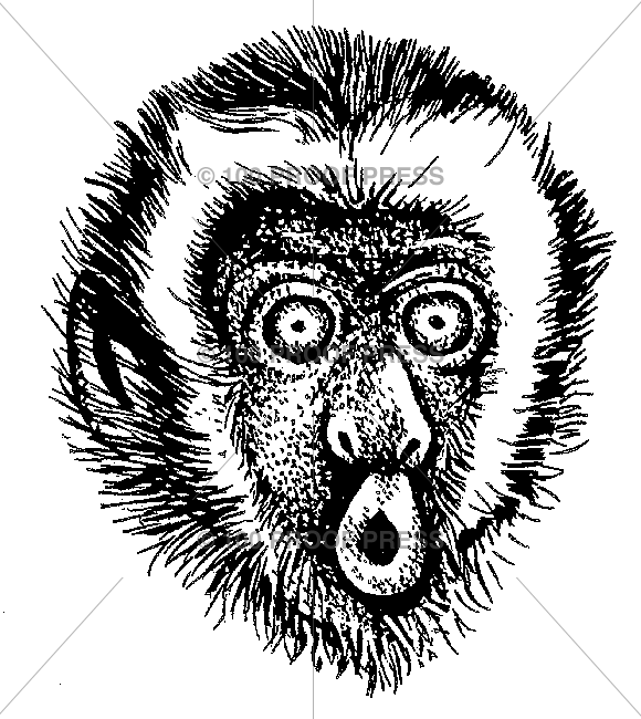 4621 Monkey Face