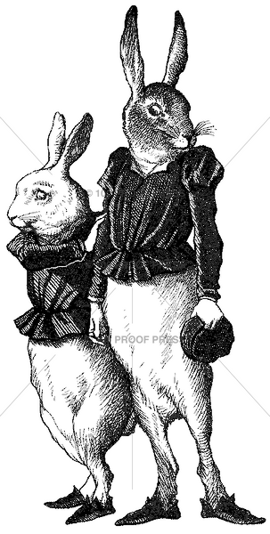 5068 Large Handsome Hares