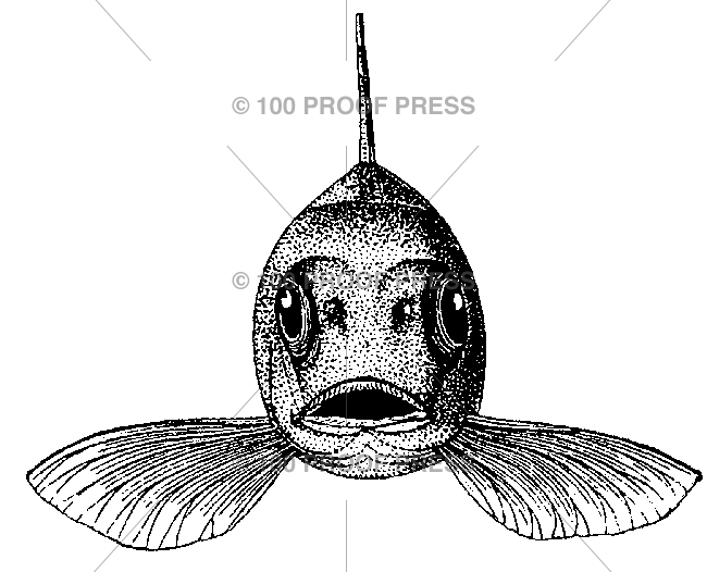 5829 Fish Face, Small