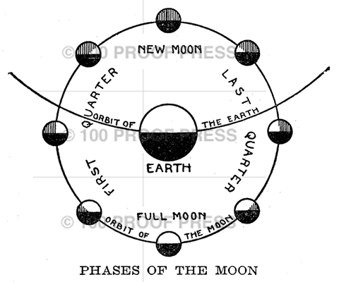 6578 Moon Phases