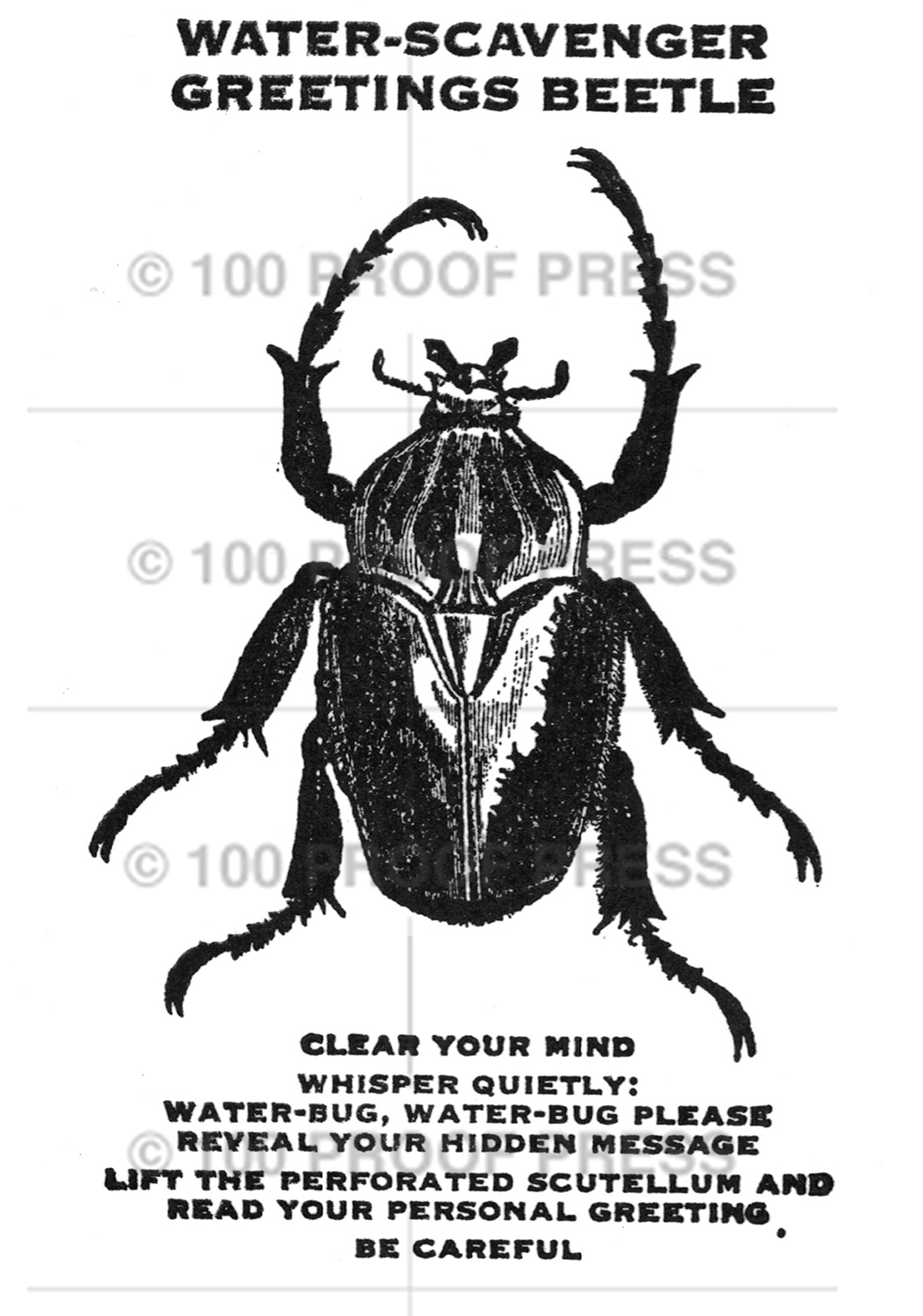 6633 Water Beetle