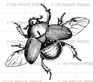 6691 Scarb Beetle, Large