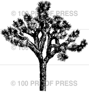 3791 Cactus Tree