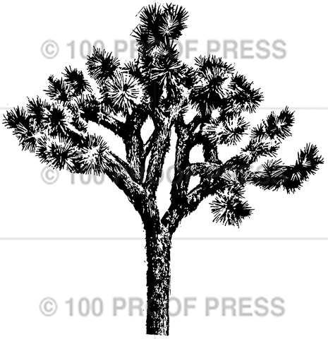 3791 Cactus Tree