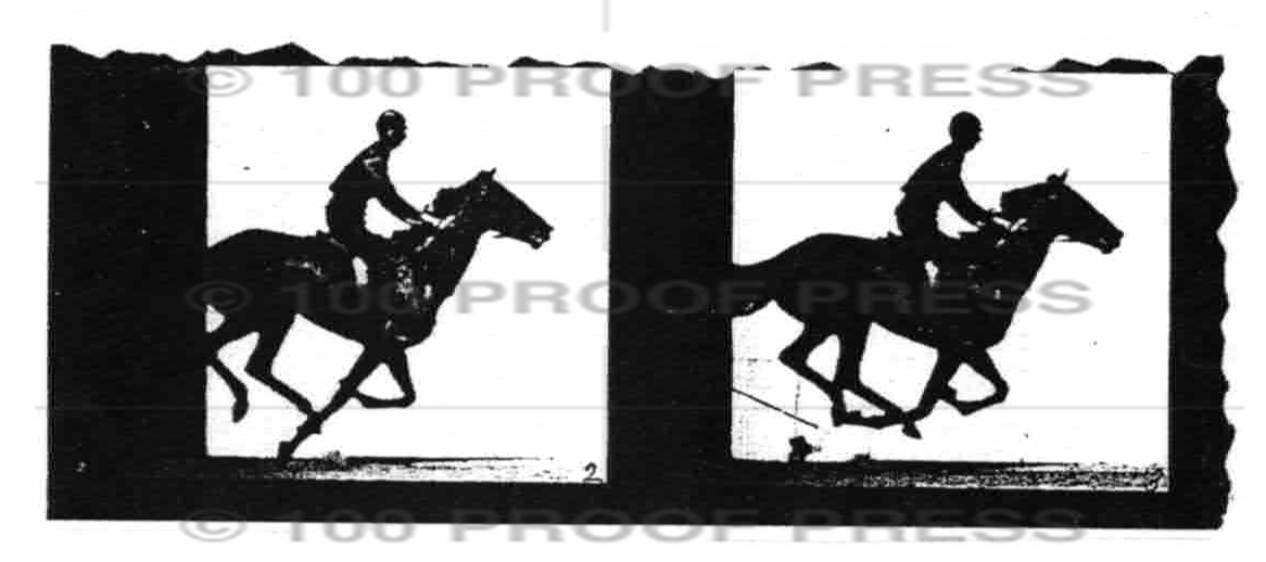 6869 Two Horses Two Frames Two Jockeys