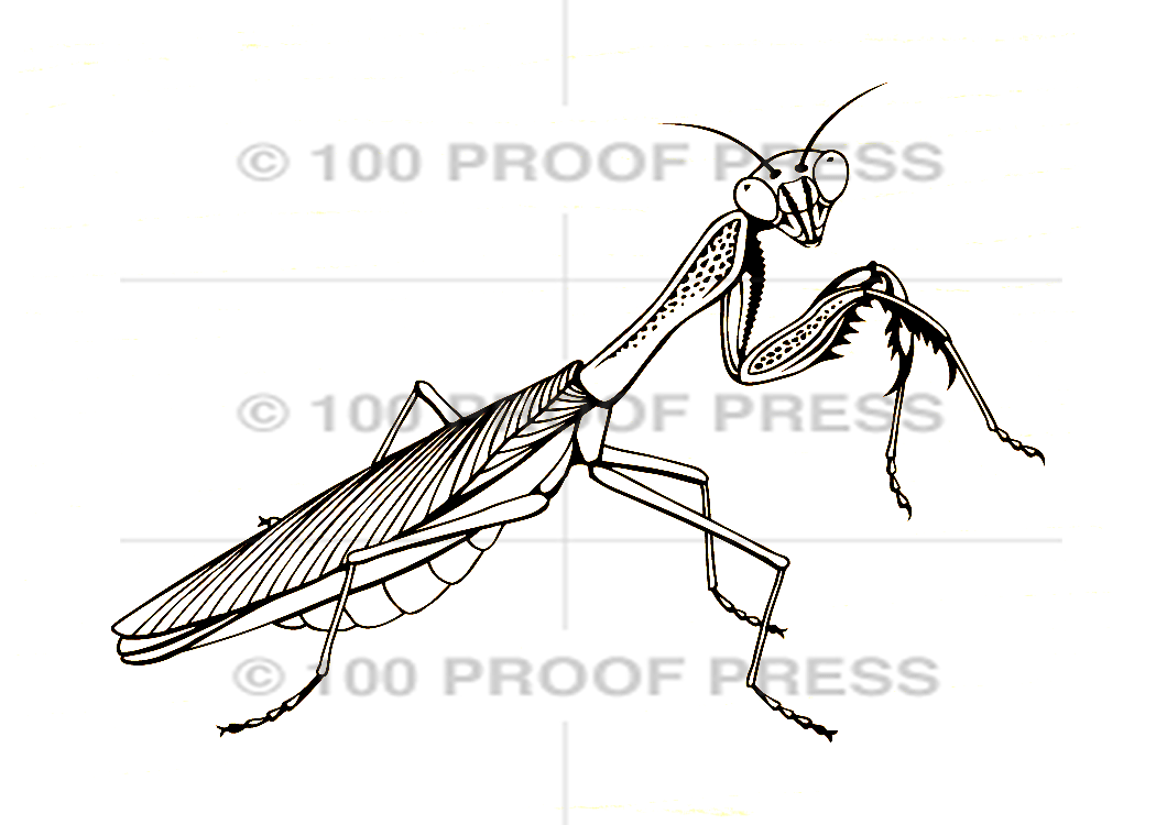 6871 Praying Mantis