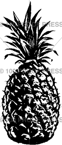 1013 Pineapple