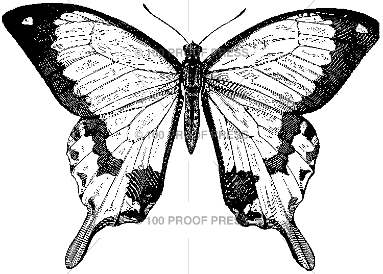 1114 Mocker Swallowtail – 100 Proof Press