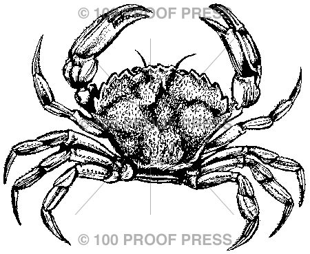 1116 Sea Crab, Small
