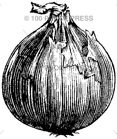 1251 Onion