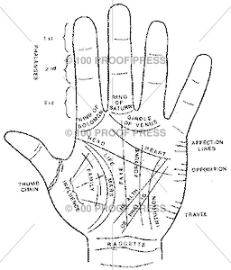 1324 Palmistry Hand, Lines