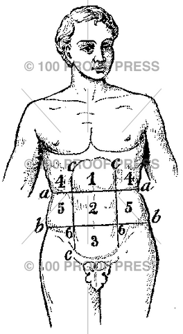 1491 Diagrammed Body