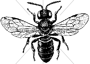 1569 Potter Wasp