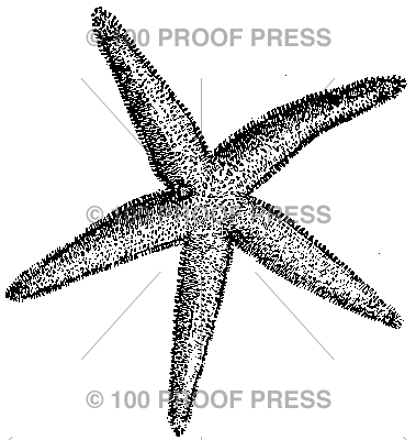 1573 Starfish