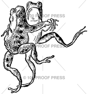 1584 Incredible Dancing Frogs