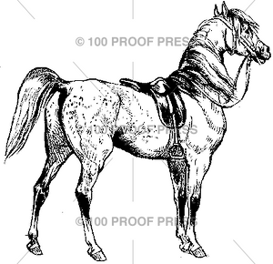 1628 Saddled Horse