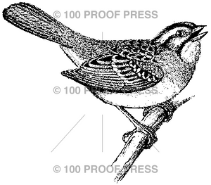 1635 Songbird on a Branch