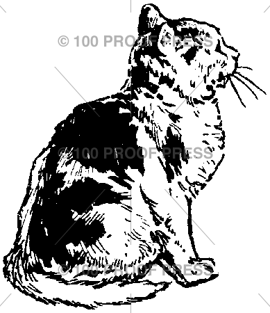 1650 Sitting Cat, Facing Right
