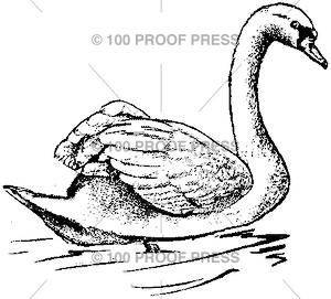 1663 Floating Swan, Large