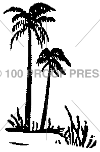 1673 Tiny Palm Tree Cluster