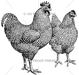 1681 Pair Of Fowl