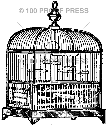 2010 Bird Cage
