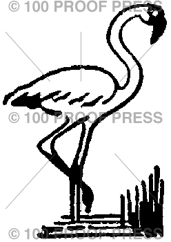 219 Small Flamingo In Marsh