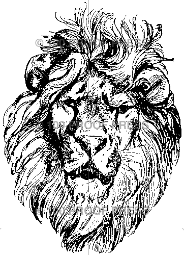 2226 Lion Head
