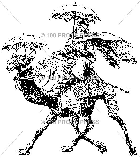 2239 Unusual Camel and Rider