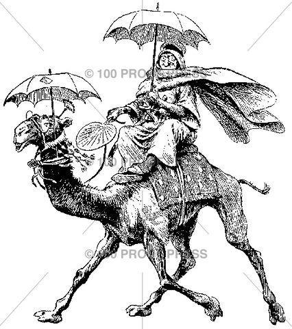 2239 Unusual Camel and Rider