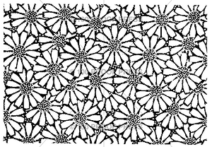 2262 Rectangle of Daisies