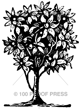 262 Woodcut Fruit Tree