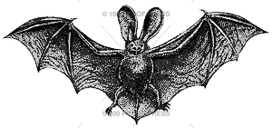 2719 Big Bat
