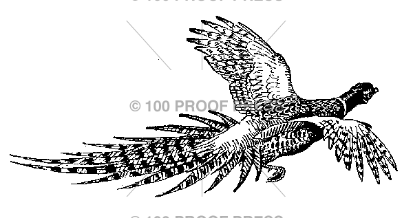 2941 Flying Pheasant