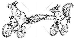2946 Cycling Squirrels