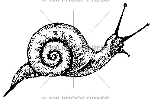 3128 A Perfect Snail