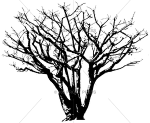 3261 Large Tree Skeleton