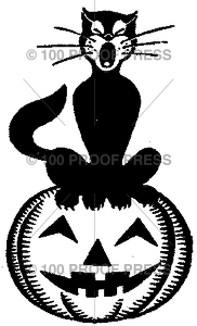 3423 Black Cat on Pumpkin