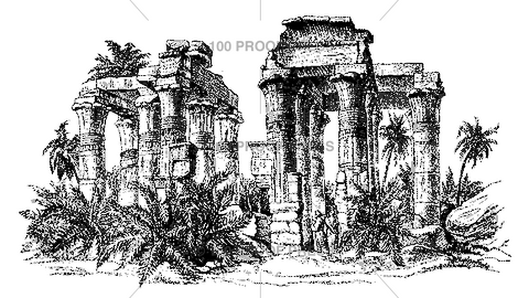 3653 Tropical Ruins