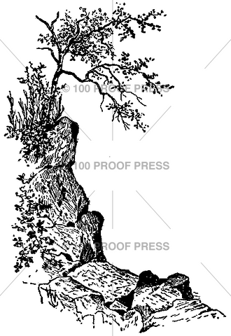 3797 Cliff Tree