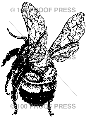 3900 Flying Bumble Bee