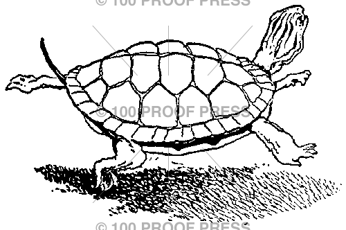 3995 Turtle with Shadow Underneath