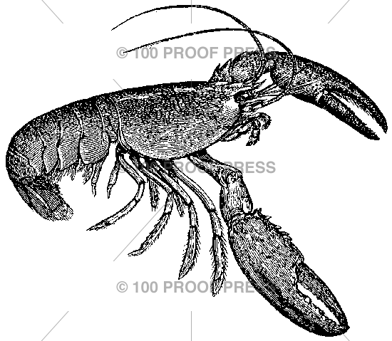 4037 Maine Lobster